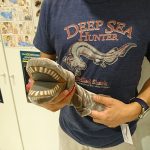 シン・ラブカが大人気!第2形態モデルに水族館が早速乗っかった!